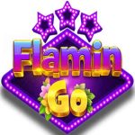 FlaminGo APK icon