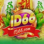 ID66 APK icon