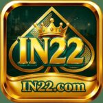 IN22 APK icon